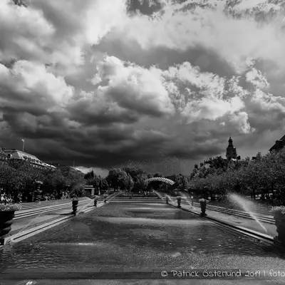 Contest photo